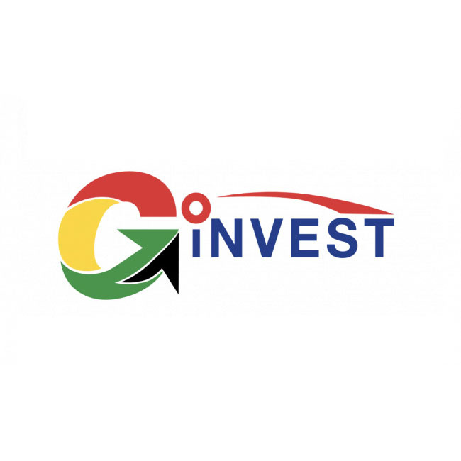 Goinvest Guayana logo