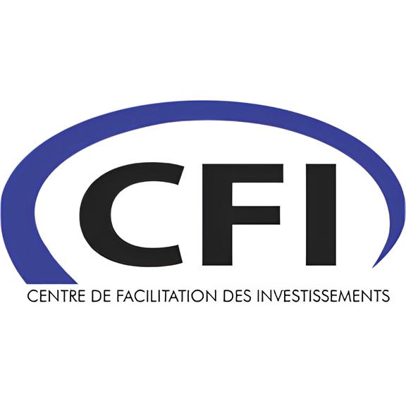 CFI Haiti Logo 1