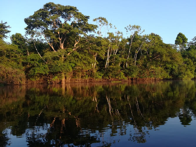 Reserva Pacaya Samiria foto por Yndira Hildaura Tornero Cruzatt WIKIPEDIA